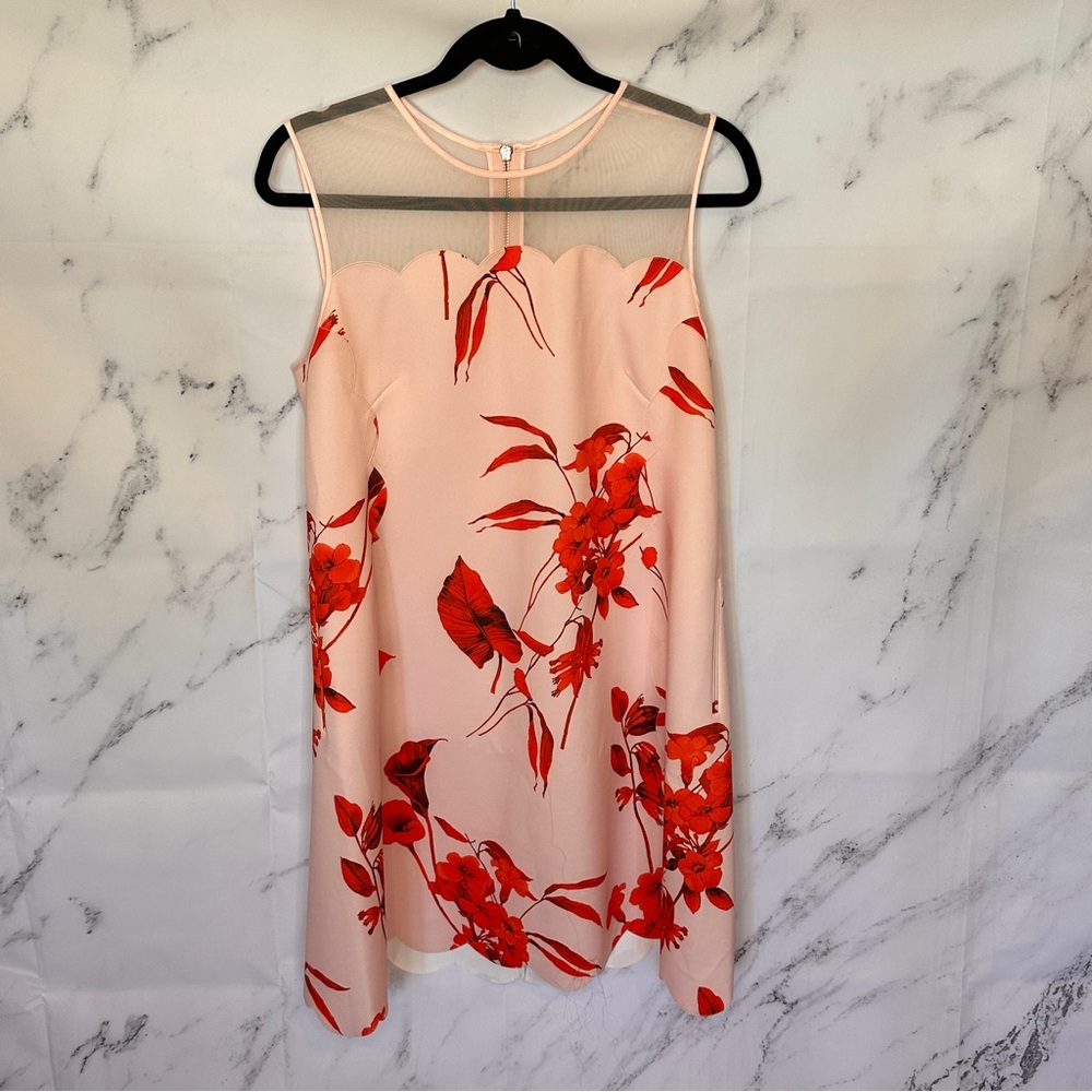 Ted Baker Pink and Red Jazmin Fantasia Scallop Mini Dress